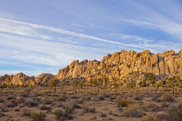 Joshua Tree, California